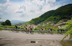 Cycling Tour on the Prosecco Road Conegliano-Valdobbiadene Unesco herritage  8