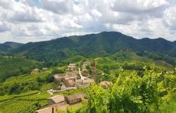 Cycling Tour on the Prosecco Road Conegliano-Valdobbiadene Unesco herritage  12