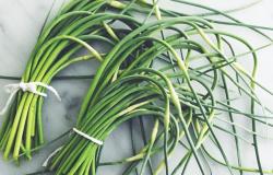 garlic scapes 