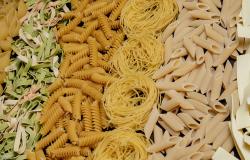Pasta variety and shapes