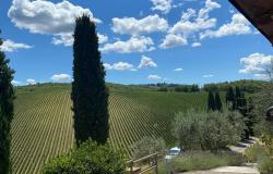 Private Wine Tour Experiences 2