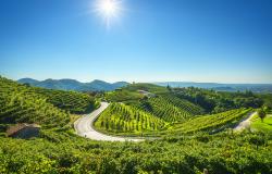 Prosecco Hills, Unesco World Heritage Site