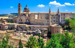 Urbino