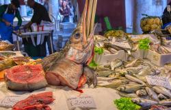 Seafood at the Rialto Market in Venice