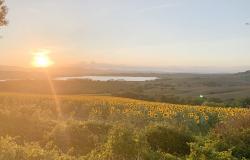 View of Tuscan countryside