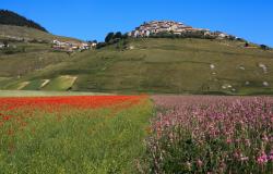 castelluccio di norcia