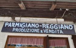 Food, Culture and Wellness in the Hidden Emilia Romagna with Italia Sweet Italia