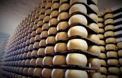 Food, Culture and Wellness in the Hidden Emilia Romagna with Italia Sweet Italia