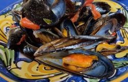 Fresh mussels from the sea