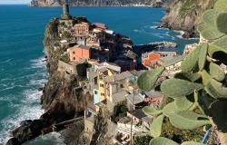 Learn Italian near Cinque Terre,  living with you teacher 16