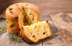 panettone