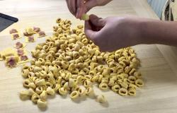 Woman making fresh pasta in Bologna