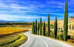 The cypress lined roads of Tuscany