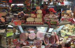 Florence Tours