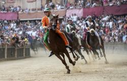 palio di siena