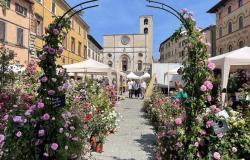 taste of umbria