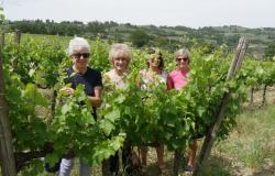 taste of umbria