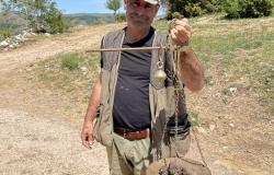 taste of umbria