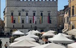 taste of umbia