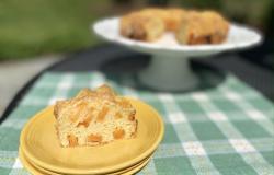 image of sliced cantaloupe cake on a green and white checked tablecloth