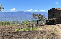 La Cuoca Calabrese - School of Calabrian Cooking 1