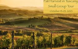Fall Harvest 2023