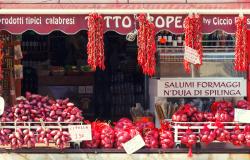 Typical products and foods from Calabria