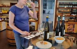 Learn Italian near Cinque Terre,  living with you teacher
