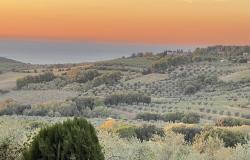 May 2024 Tuscany/Liguria ~ 10 Days and 9 Nights ~ Exploring Local Culture Through Food, Wine, and People  9
