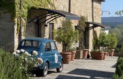 May 20243 Tuscany/Liguria ~ 10 Days and 9 Nights ~ Exploring Local Culture Through Food, Wine, and People 12