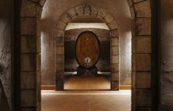 Wine barrel in Stati Wine Cellars