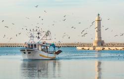 A fishing boat enters the Port of Molfetta at sunset