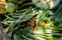 Organic vegetables / Photo: 9Life via Shuttestock