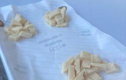 TASTING OF DIFFERENT AGEINS OF PARMIGIANO