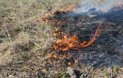 Dry grass burns in southern Italy