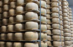 PARMIGIANO WAREHOUSE