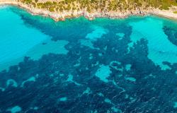Aerial view of the coast of Sardinia