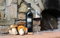 Luxury Vines, Velocity & Velvety flavors: A journey through Italy’s Finest Wines Ferrari thrills and Northern delicacies 8 Nights/9 days 9