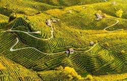 Winding paths in the Valdobbiadene area of Veneto, known for Prosecco production