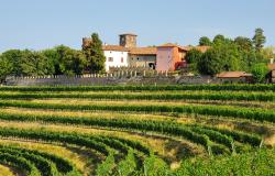 Cultural Vacation in Friuli, Italy's Hidden Gem 7