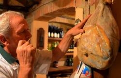 Culinary Treasures of Bologna, Venice, Michelin Stars & Exotic Cars 8