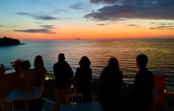 Language and Culture Immersion 5