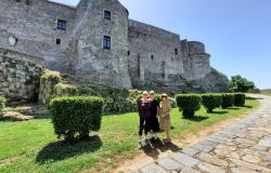 Language and Culture Immersion 9