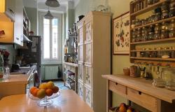 Speak, live and enjoy Italian with Renata: homestay experience in the heart of Milan, in-person and online lessons 15