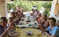 Language and Culture Immersion 13