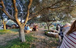 Language and Culture Immersion 12