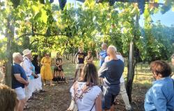 Language and Culture Immersion 10