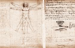 Vitruvian Man by Leonardo