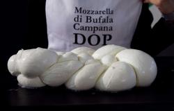 buffalo mozzarella from Italy