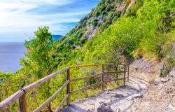 Hiking trail in Liguria